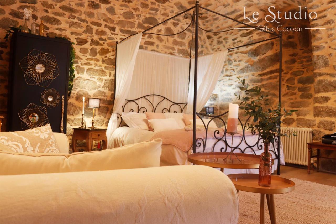 Le Studio Entraygues-sur-Truyère Dış mekan fotoğraf