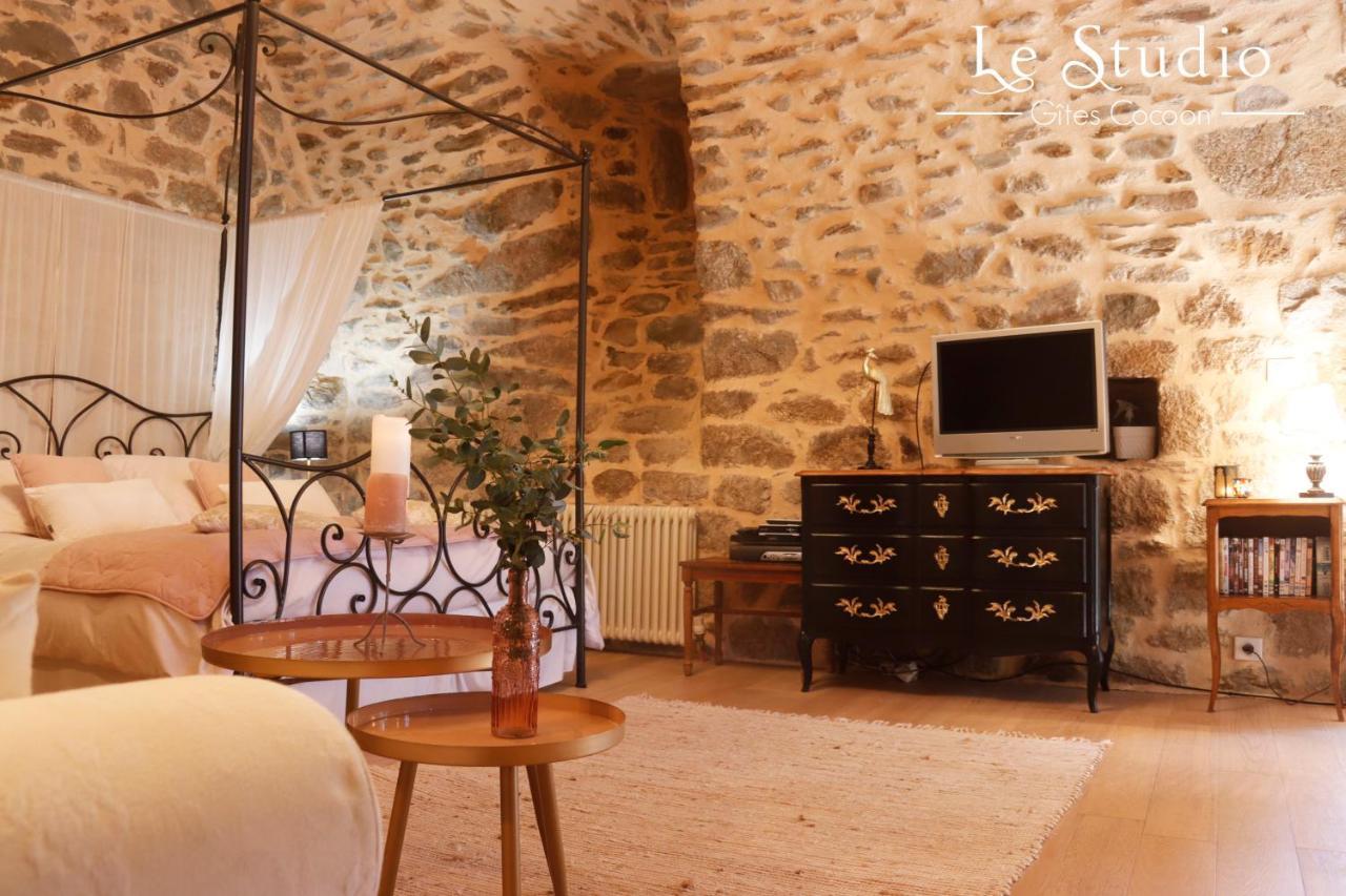 Le Studio Entraygues-sur-Truyère Dış mekan fotoğraf